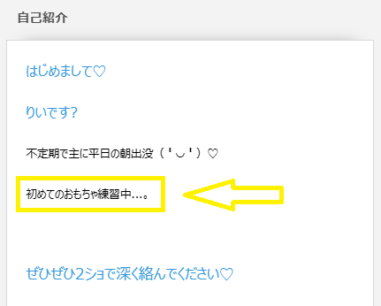 初めてのおもちゃ