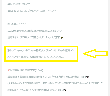 MEIsasのプレイ内容